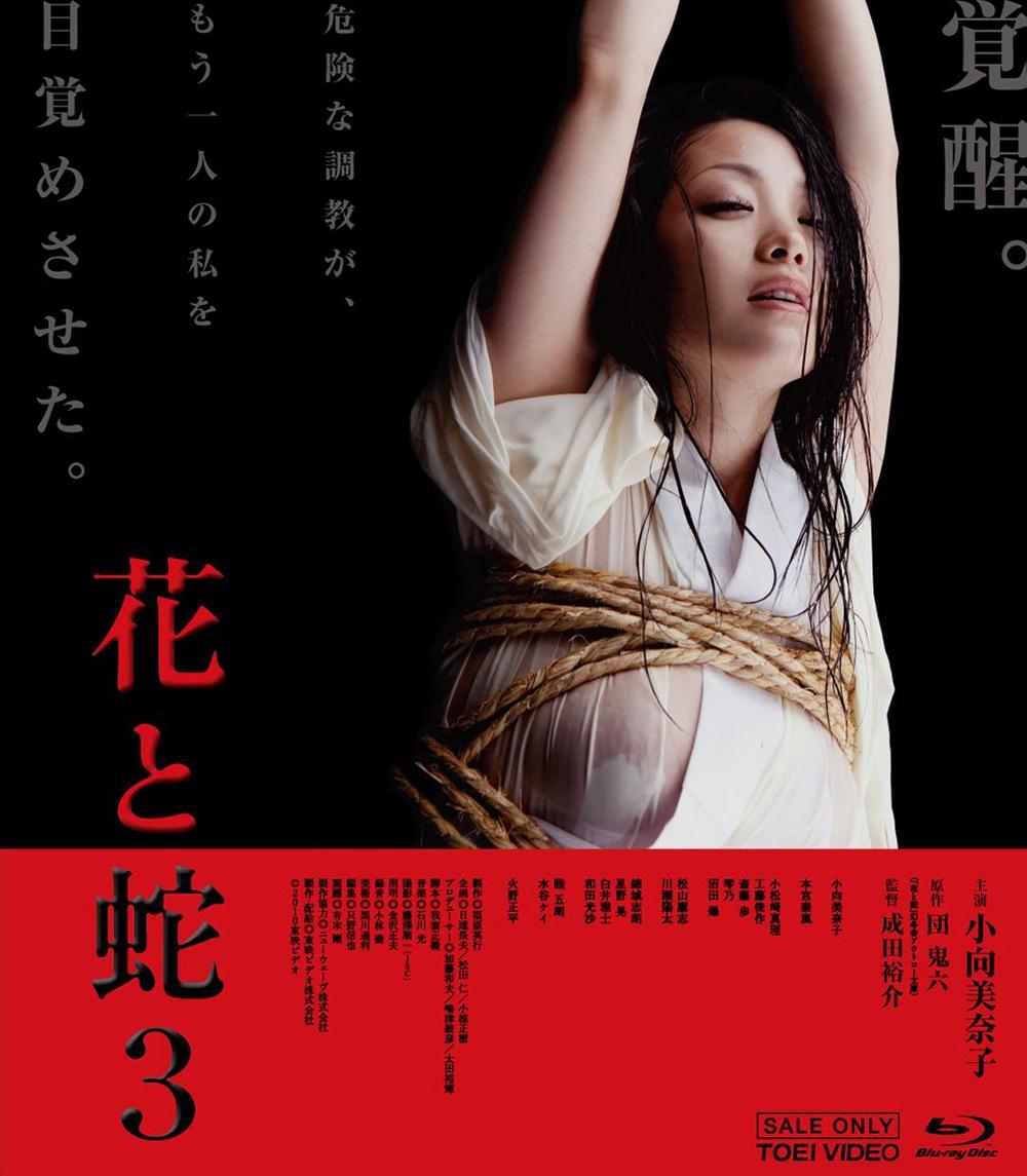 Japan Blu-ray Cover #1