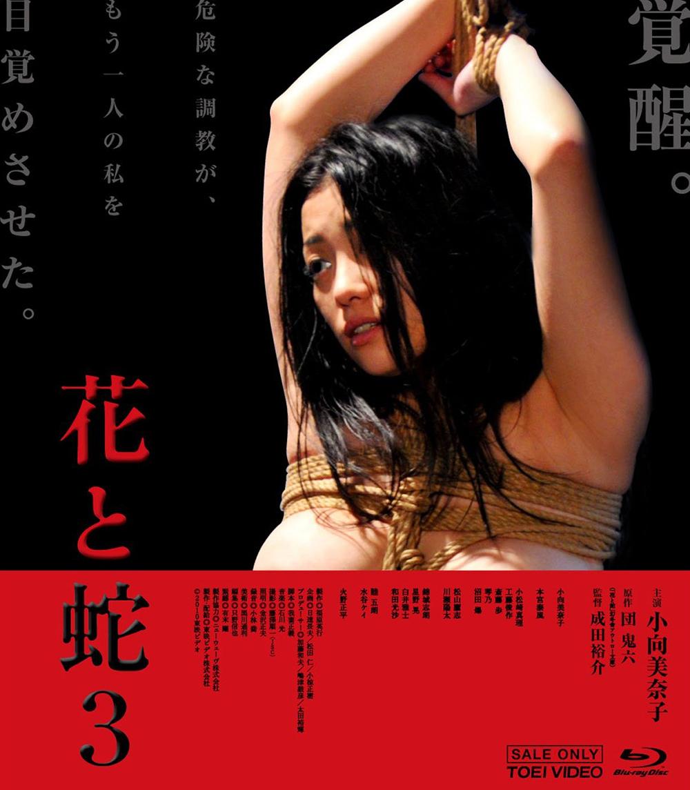 Japan Blu-ray Cover #2