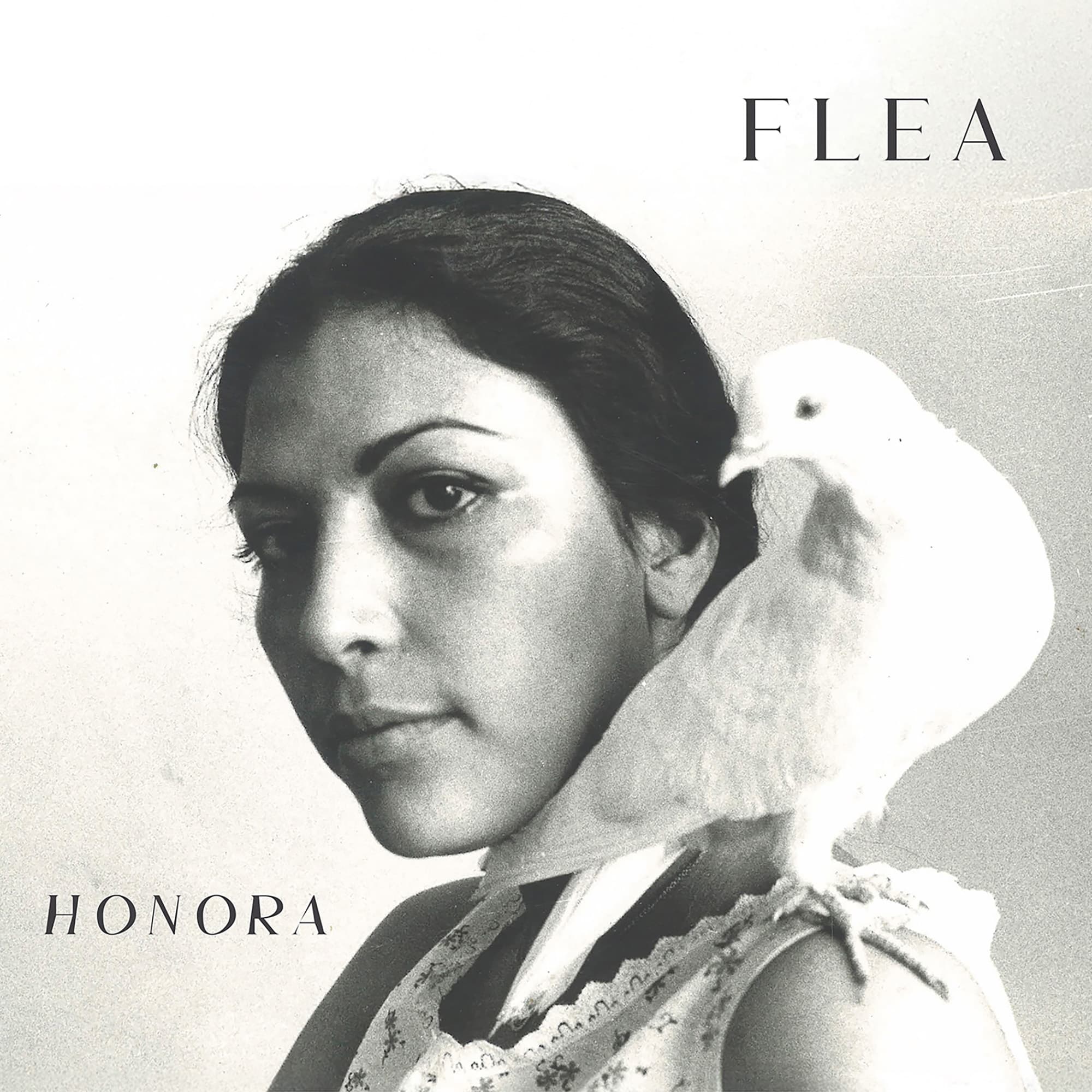 Flea - ‘Honora’