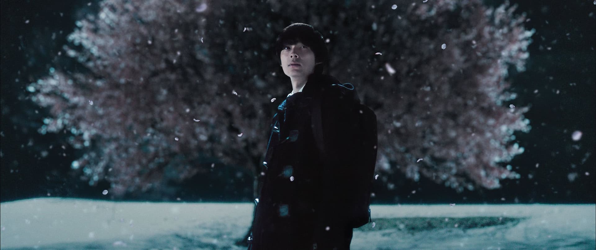 ‘5 Centimeters Per Second’ Confirms HK & Taiwan Release