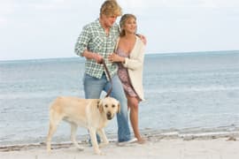 Marley & Me 成為聖誕節周未美國票房第一位
