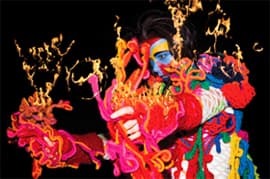 Bjork 公開 Volta 大碟封面