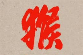 Monkey Set Album Release Date