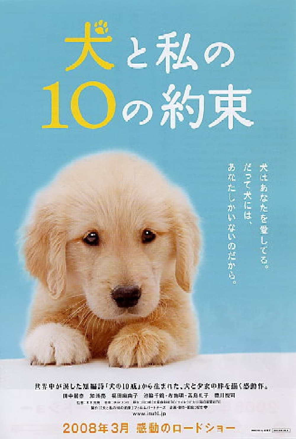 犬と私の10の約束