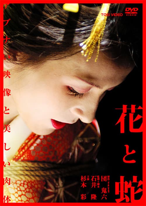 日本版 DVD 封面