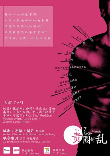 My 17 Gay Friends
