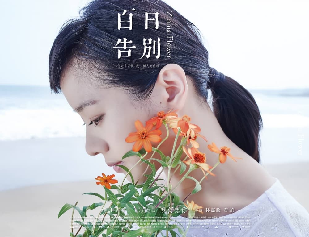 台灣版角色海報 #1