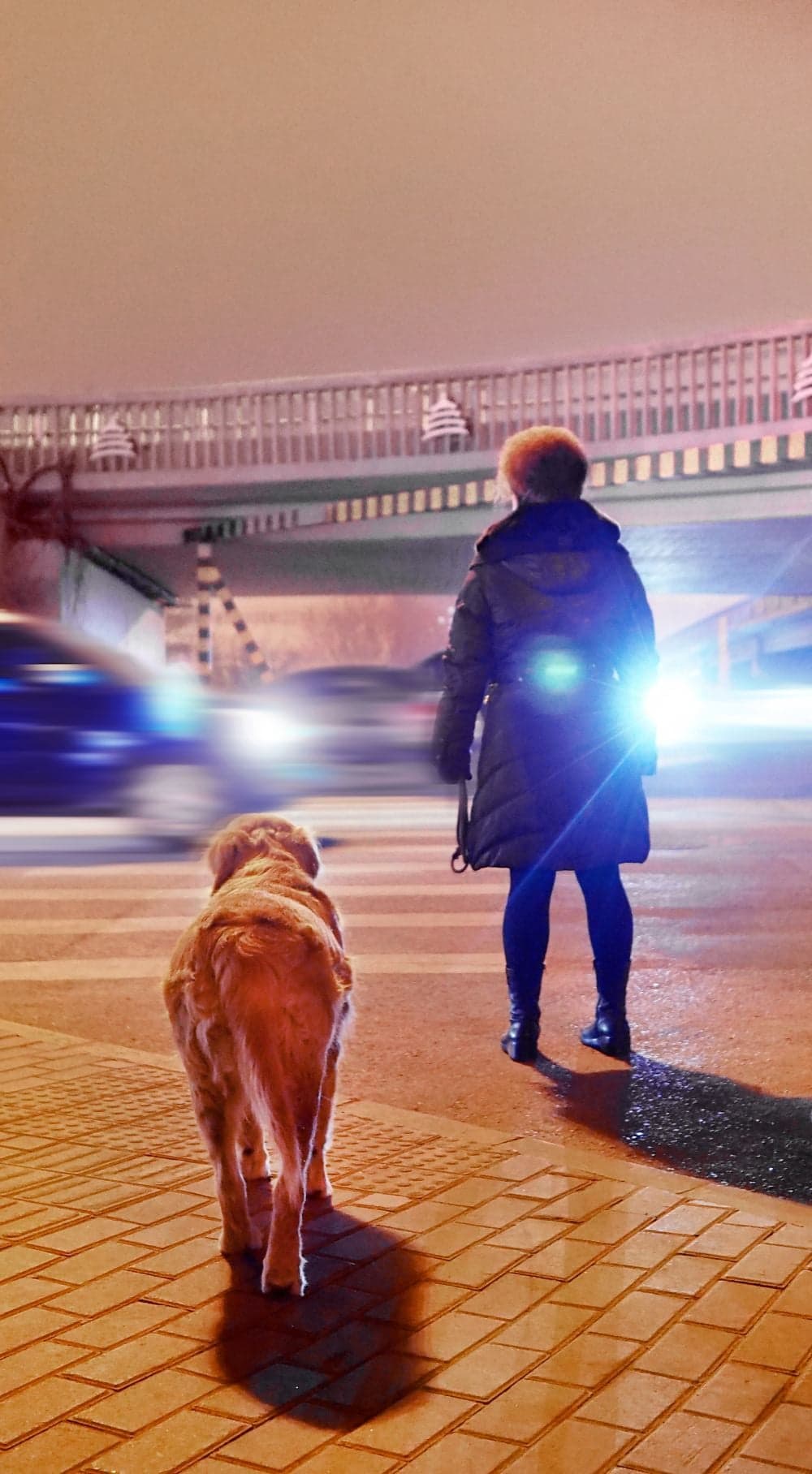 Dama Wang Who Lives On Happiness Avenue