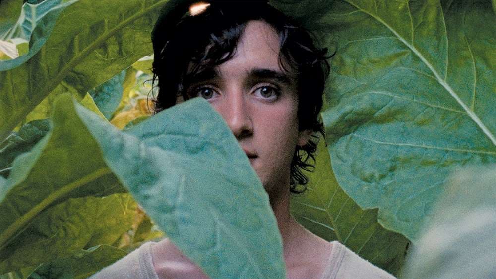 Happy As Lazzaro