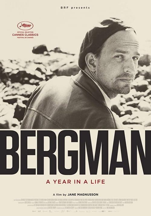 Bergman: A Year In A Life