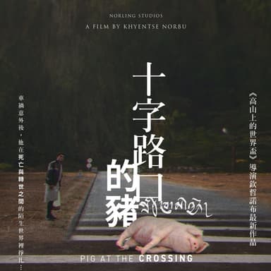 十字路口的豬