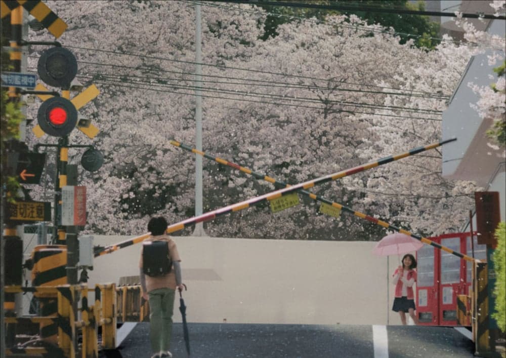5 Centimeters Per Second