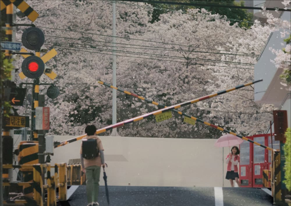 5 Centimeters Per Second