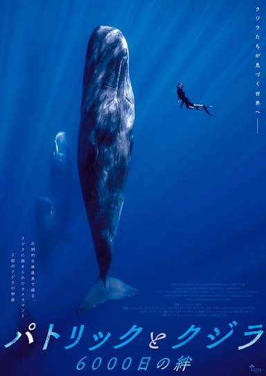 パトリックとクジラ 6000日の絆