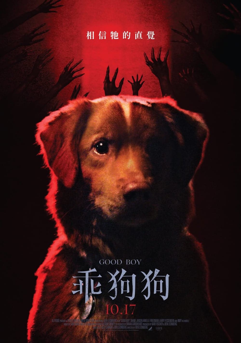 夜汪汪 心慌慌