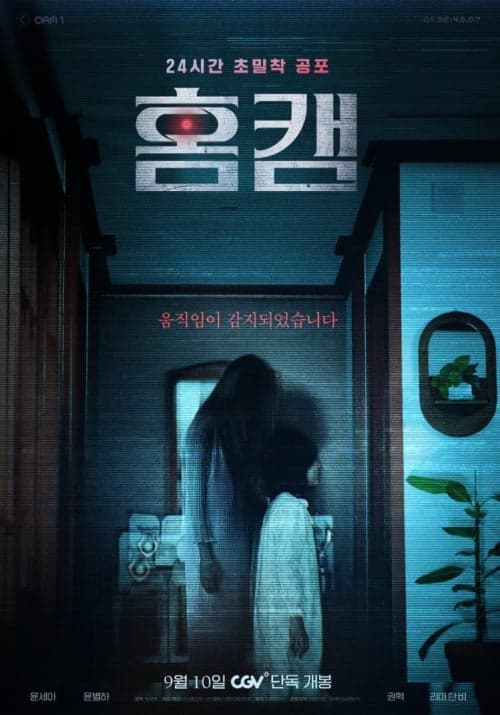 韓国版ポスター