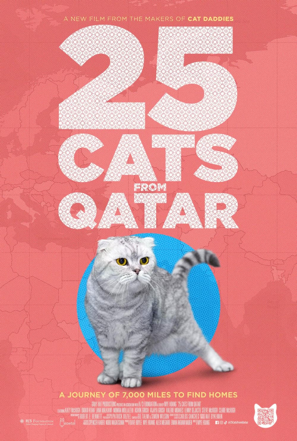 US Poster