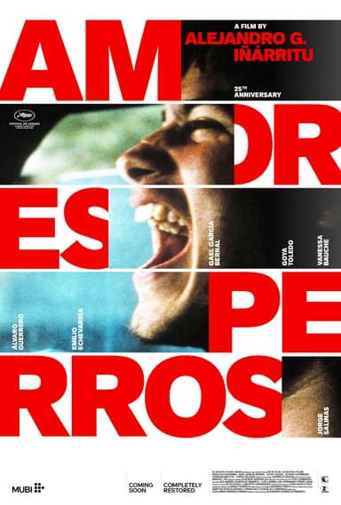 Amores Perros
