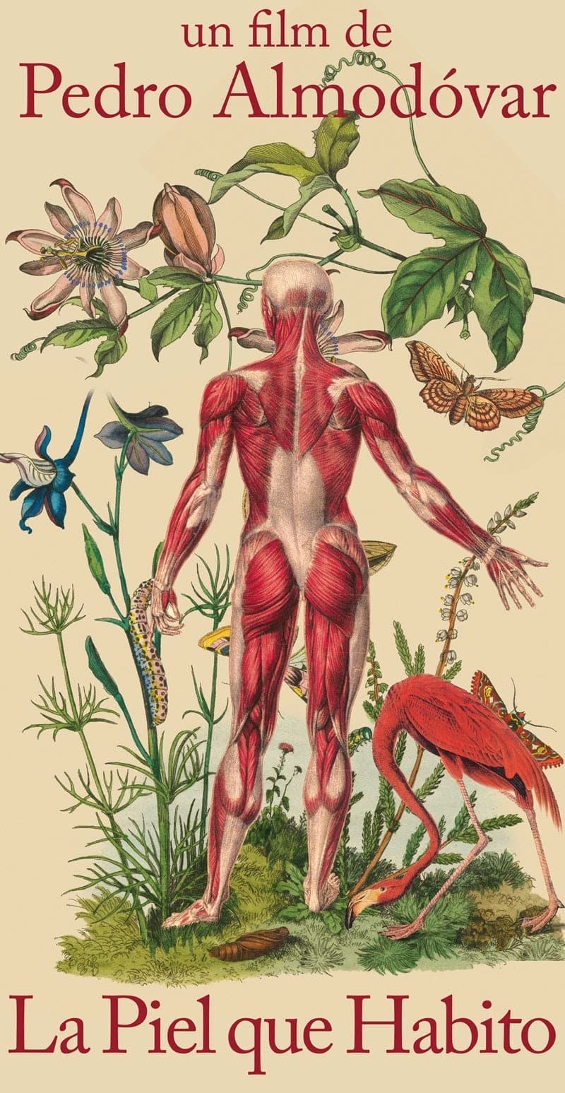 西班牙初版海報