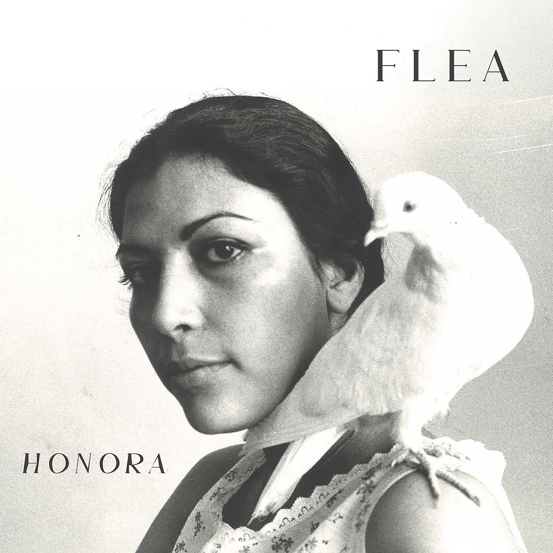 Flea - ‘Honora’