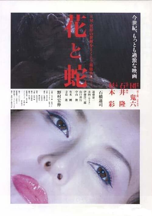 Japan Poster
