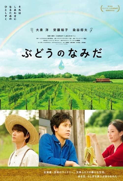 日本版ポスター