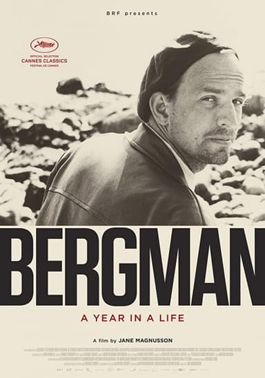 Bergman: A Year In A Life