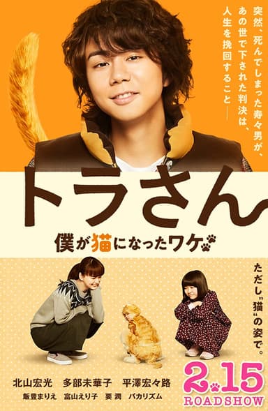 Tiger: My Life As A Cat