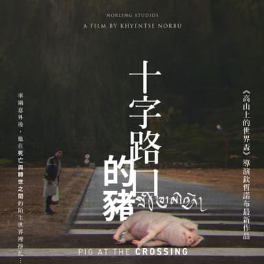 十字路口的豬