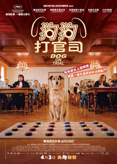 Dog On Trial