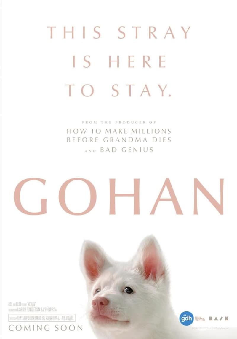 International Poster