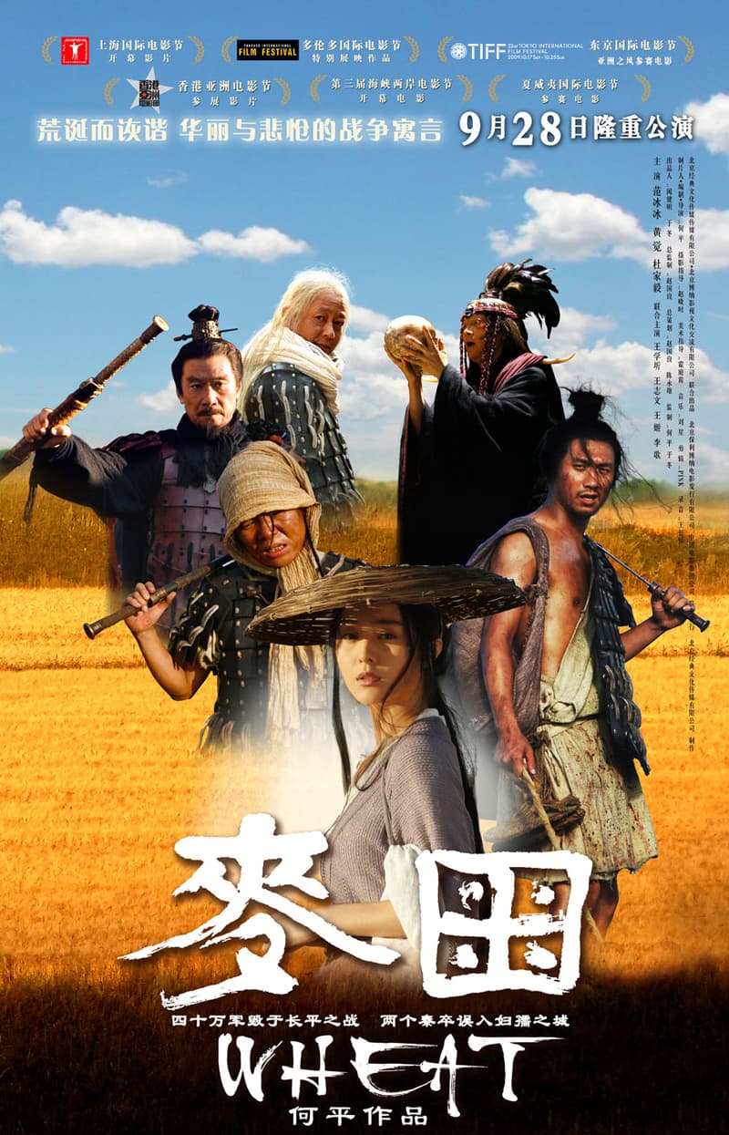 中國大陸版海報