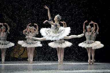 La Danse - The Paris Opera Ballet