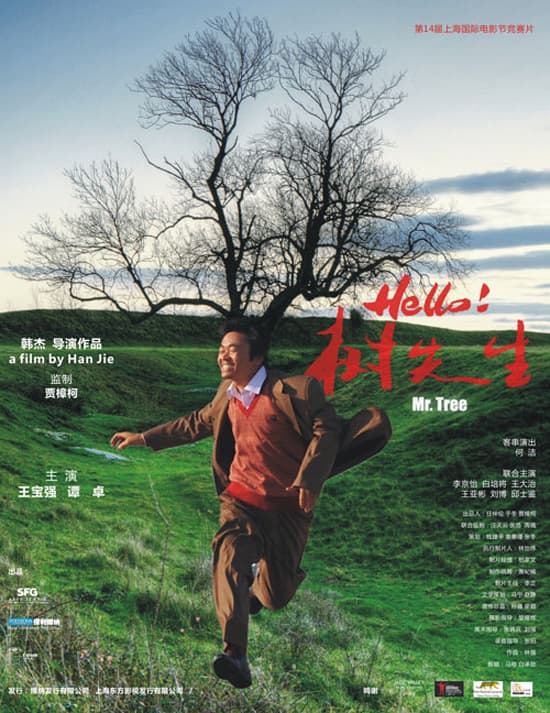 中國大陸版海報