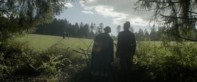 The Council Of Birds