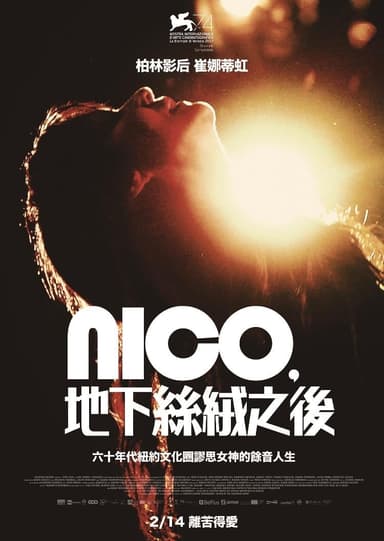 Nico,地下絲絨之後