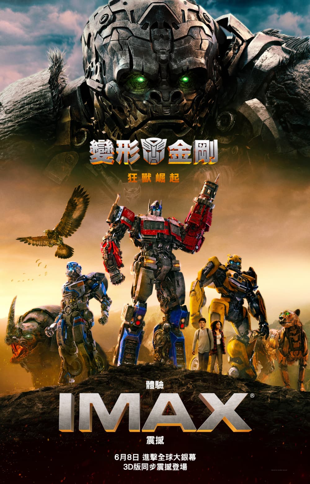 Hong Kong IMAX Poster