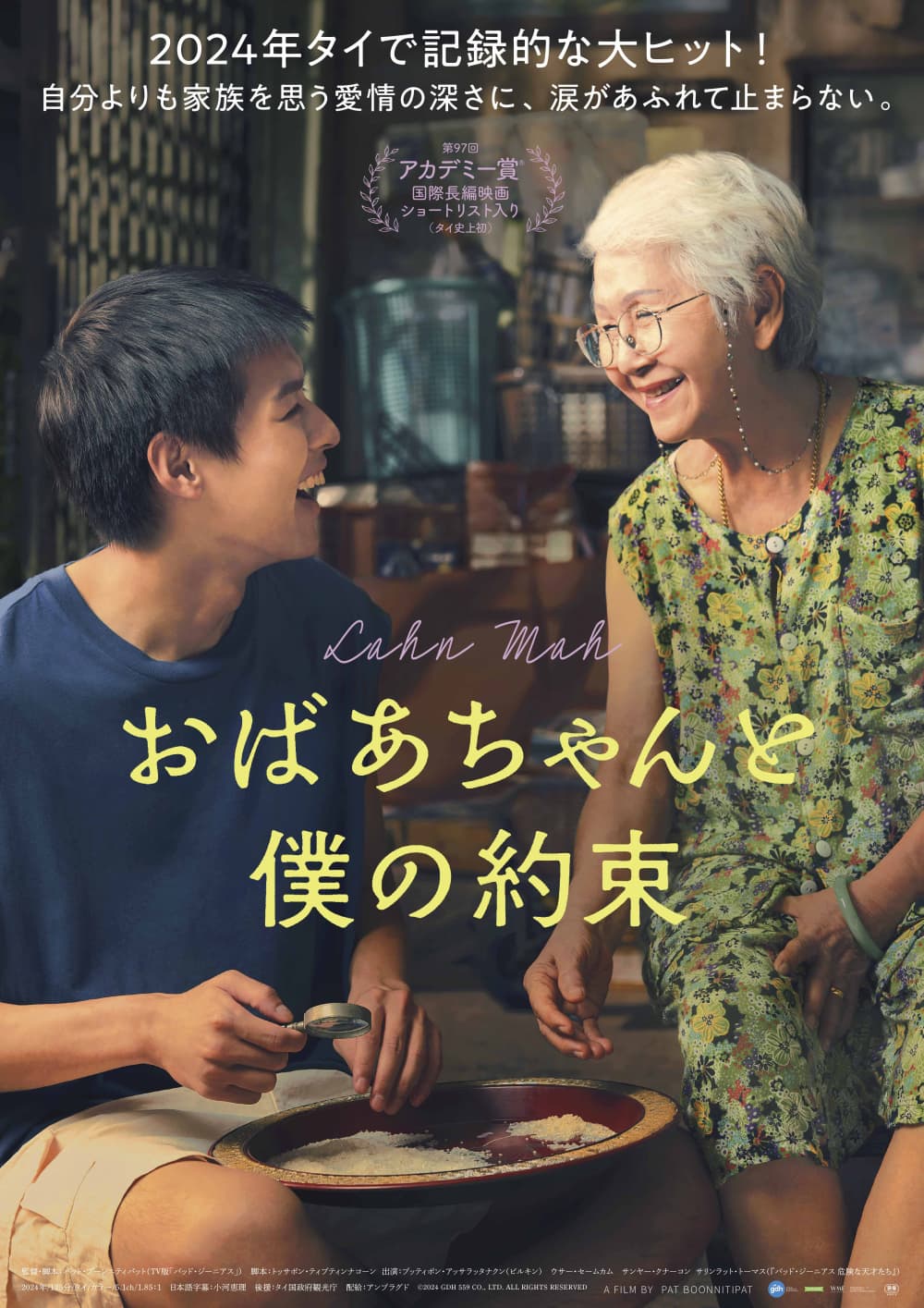 Japan Poster