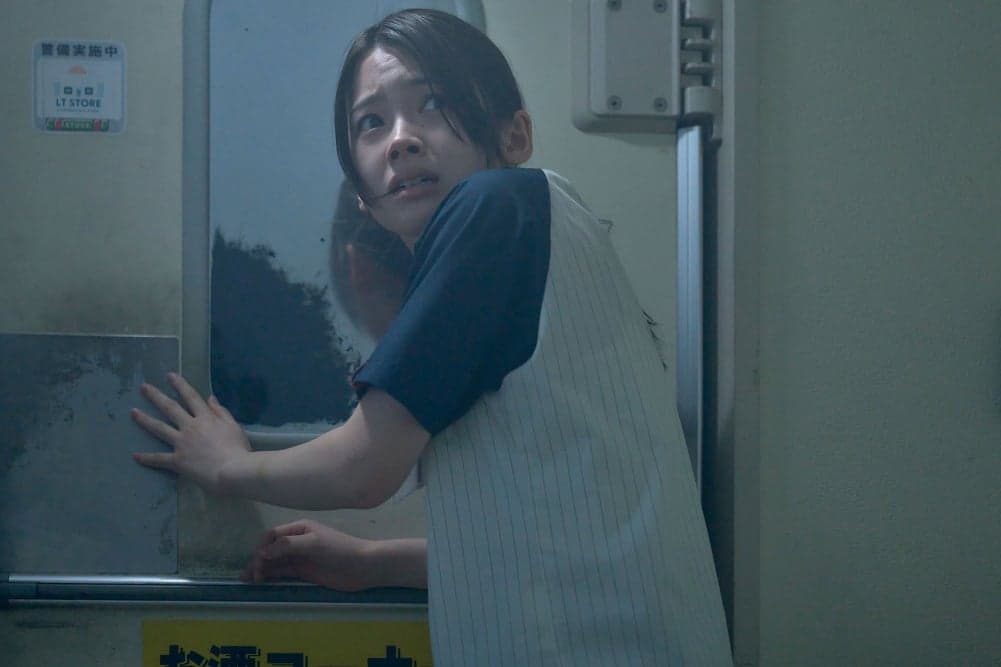 The Convenience Store