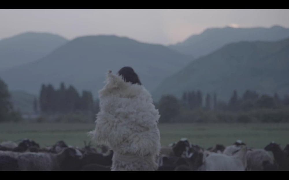 Past Future Continuous