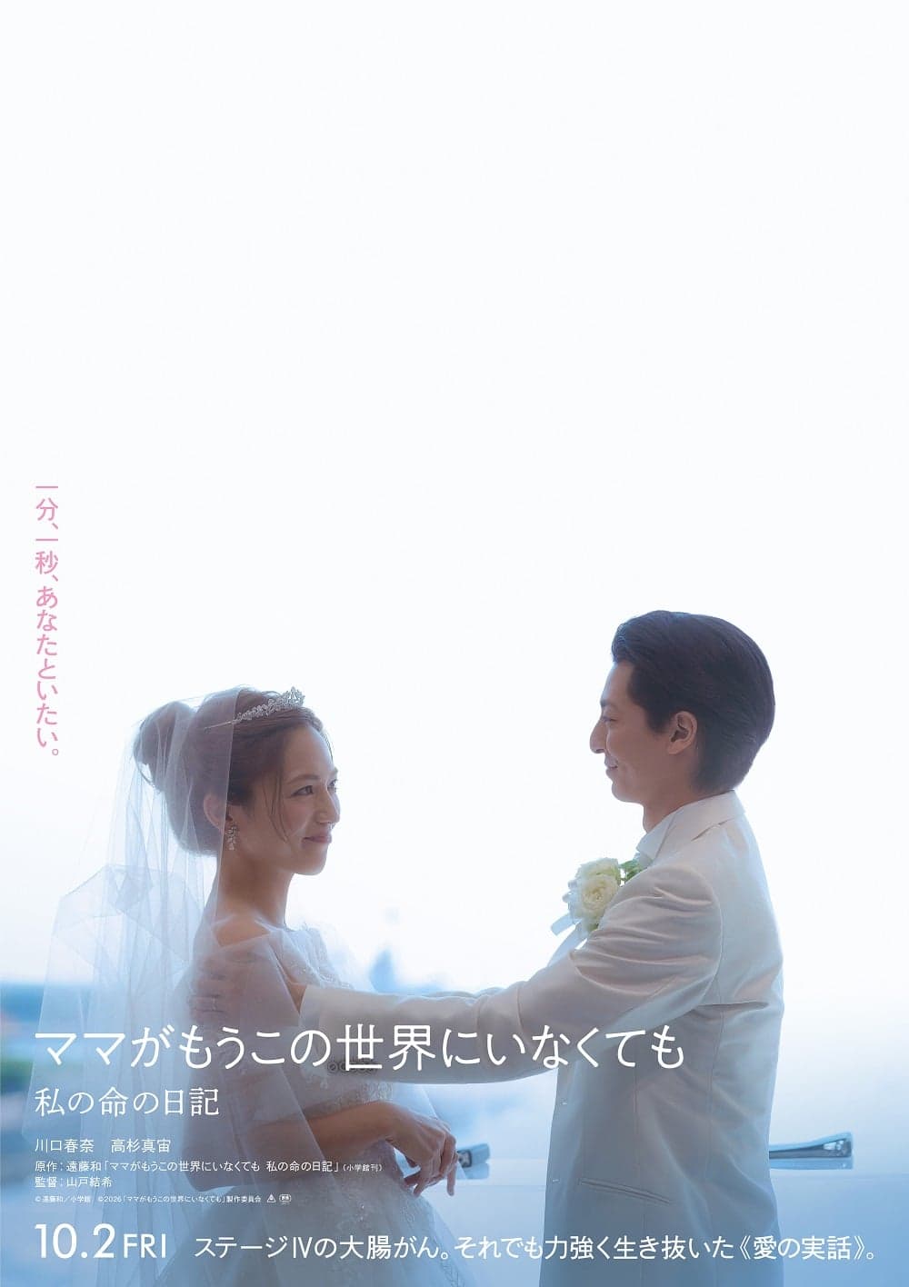 Japan Poster