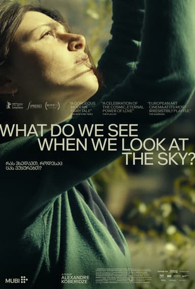 What Do We See When We Look At The Sky?